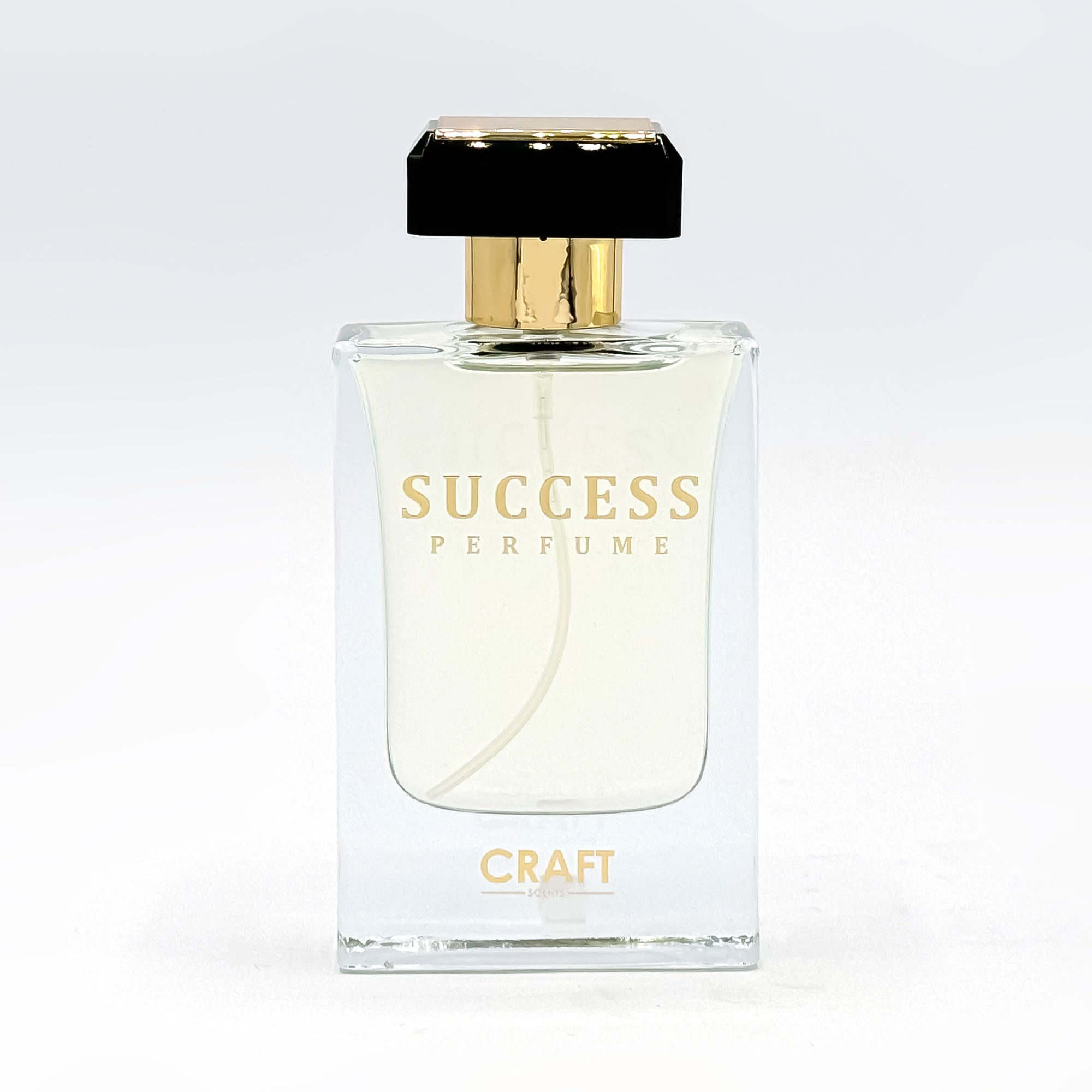 SUCCESS