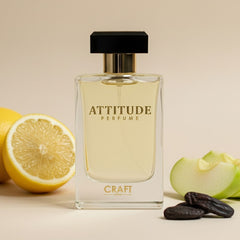 ATTITUDE
